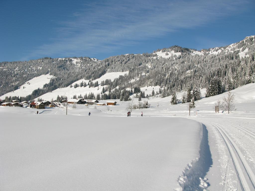Appartement Alpenroesle à Balderschwang Extérieur photo